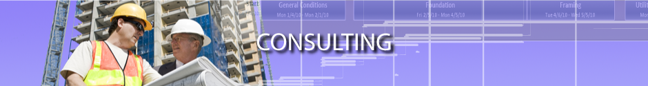 consulting